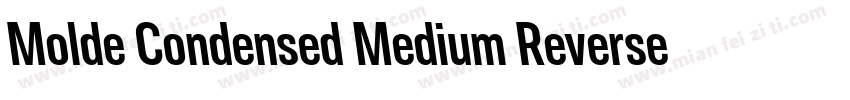 Molde Condensed Medium Reverse字体转换